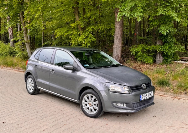 Volkswagen Polo cena 22000 przebieg: 143565, rok produkcji 2011 z Margonin małe 154